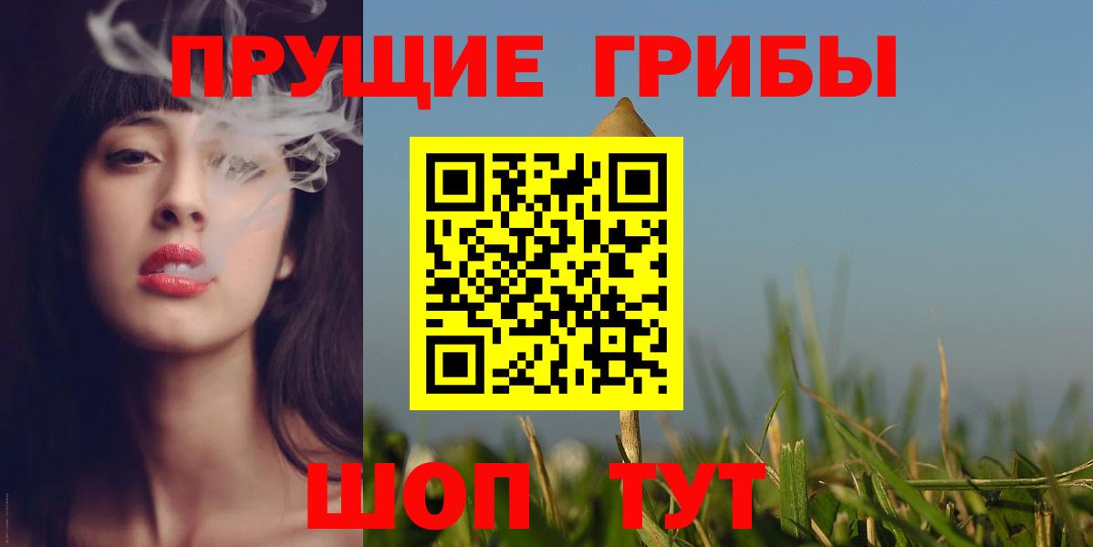 Азнакаево  Псилоцибиновые грибы ЛСД  Псилоцибиновые грибы MAGIC MUSHROOMS  купить наркотики сайты  Вход с VPN 
